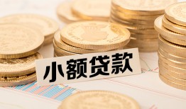 东莞周转空放-东莞周转个人短借-东莞周转身份证小额贷款