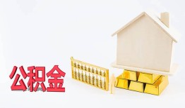 东莞周转靠谱个人借钱-东莞周转私借空放直接上门-东莞周转用身份证借私借